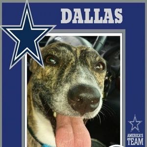 Meet your Posher, Donna